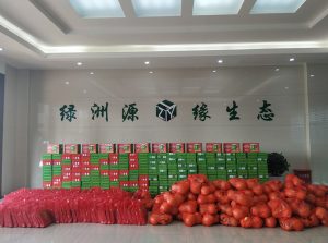 月是中秋明，情满绿洲源